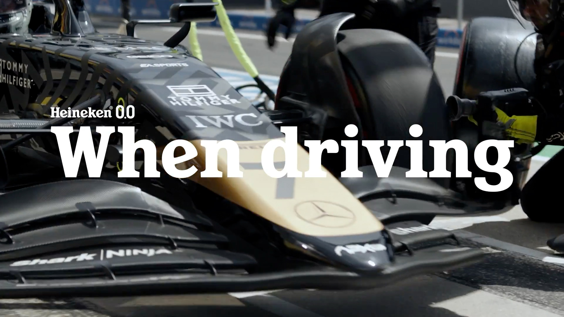 WDoN-Grafica
