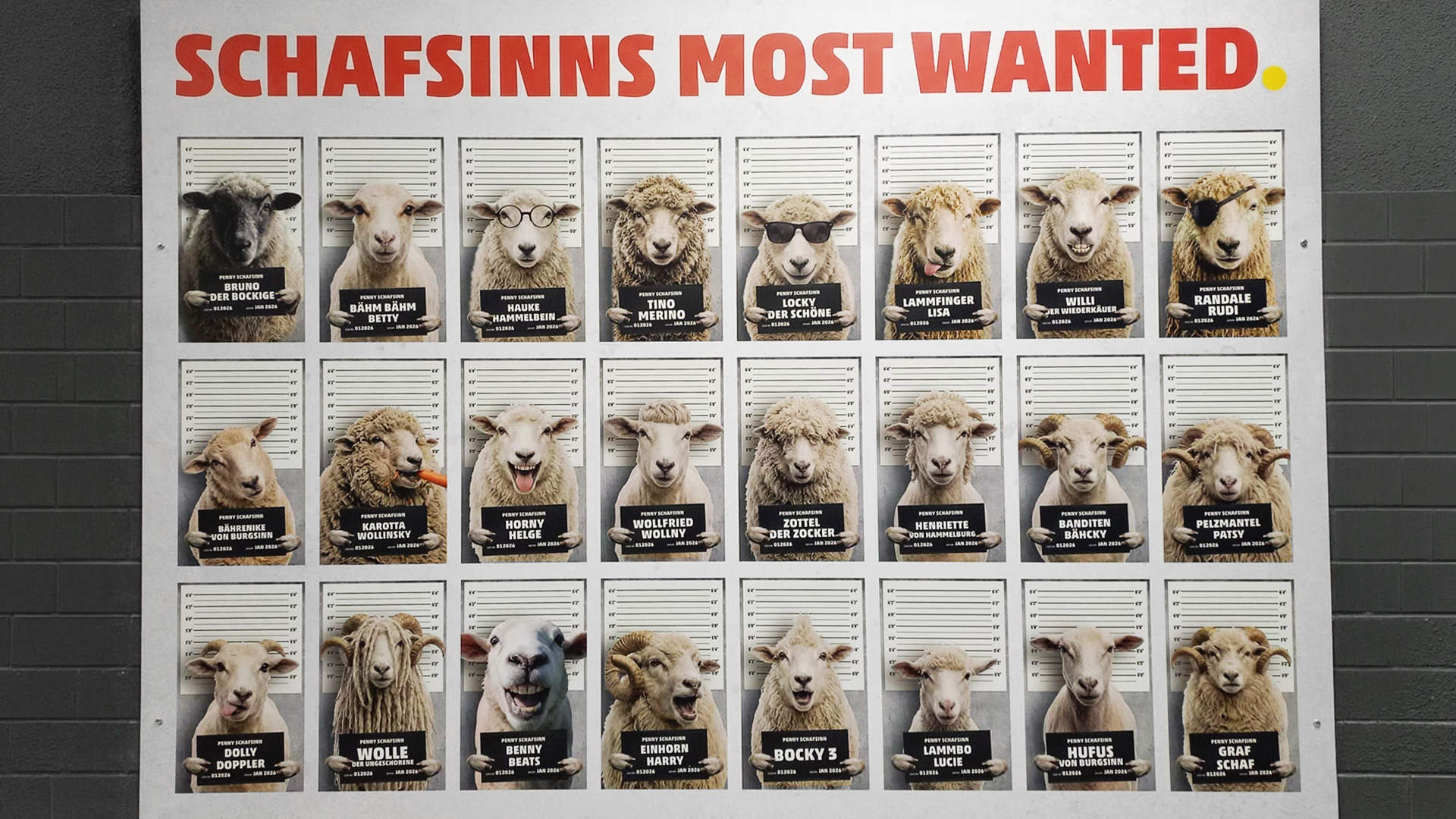1920x1080_SE-Sheep_Happens_Chart